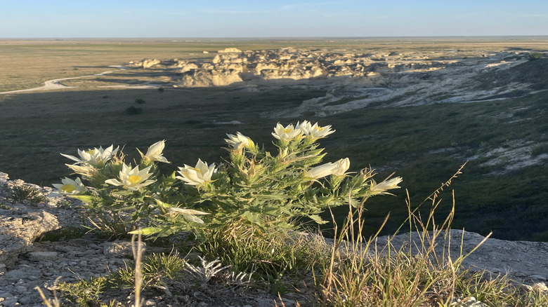 Overlook of Castle Rock Badlands in Kansas