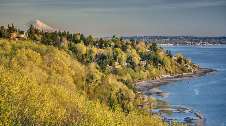A view of Mt. Rainier in the distance from Discovery Park