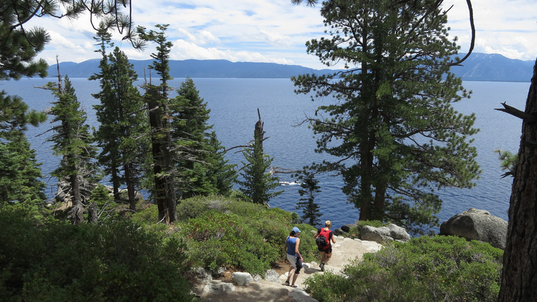 Hikers walking through forest by the sea at DL Bliss State Park by Lake Tahoe in California