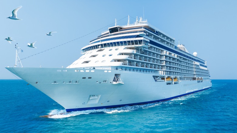 A cruise ship mid-trip