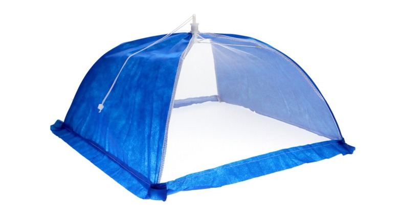 Food tent from Dollar Tree