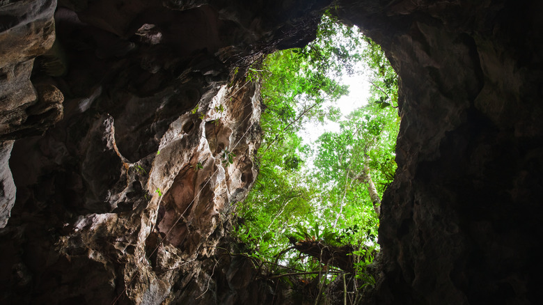 Roofless cave in Los Haitises National Park