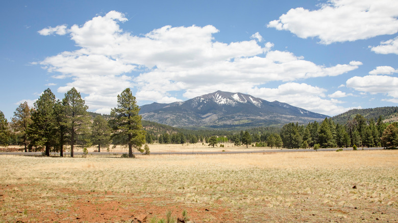 Humphreys Peak in Arizona, surrounded by forest