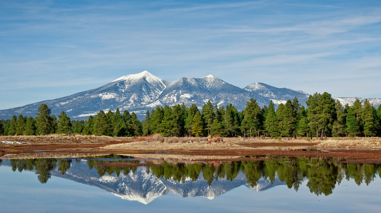 The San Srancisco peaks in Arizona's forest