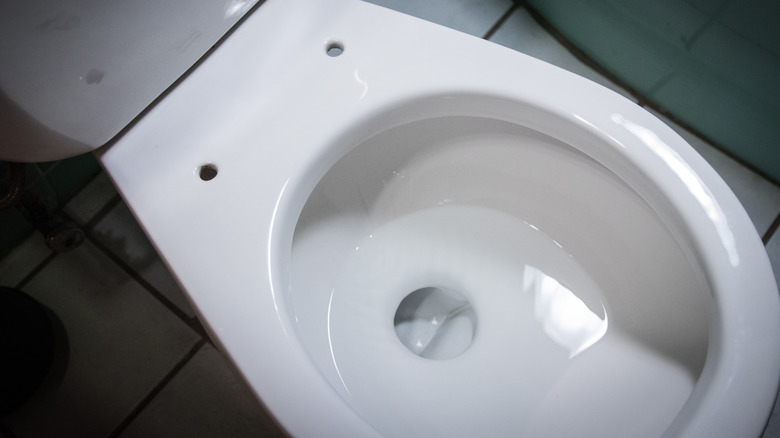 Toilet with no seat