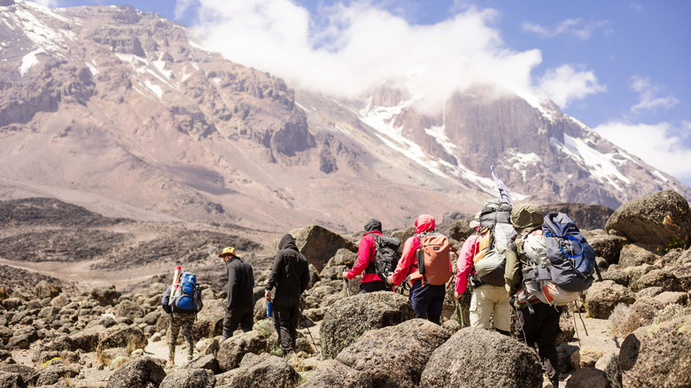 hikers climbing mount kilimanjaro in tanzania
