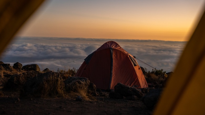 tent at sunrise in camp on Kilimanjaro hike