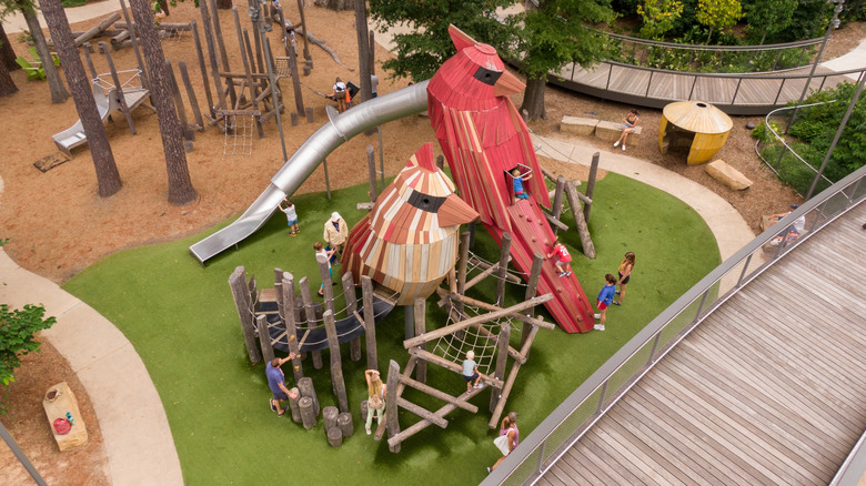 Wooden playground in the shape of two cardinals at Downtown Cary Park, North Carolina
