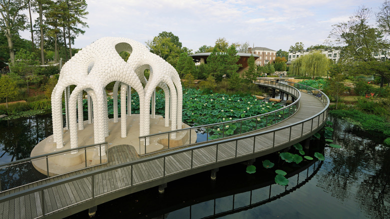 L'ile Folie sculpture by aritst Marc Fornes surrounded by water lilies in Downtown Cary Park, North Carolina