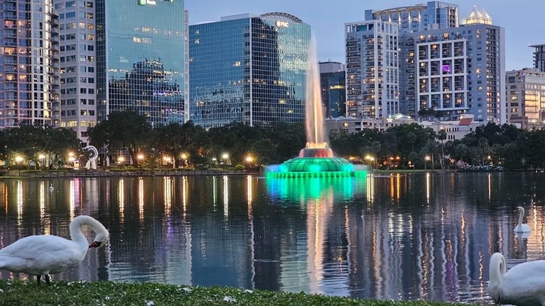 Dusk, city lights, and swans at Lake Eola Park in Orlando, FL.