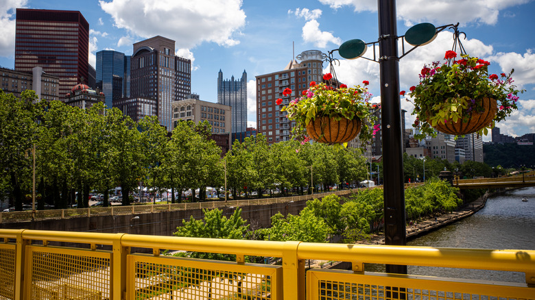 View of Pittsburgh's skyline from the Rachel Carson Bridge, with trees along the river in the foreground