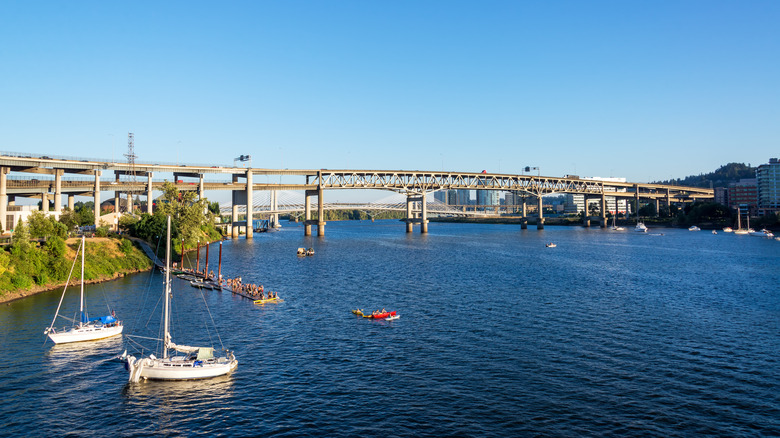 People swimming from a dock on the Willamette River beneath a bridge, in Portland, Oregon.