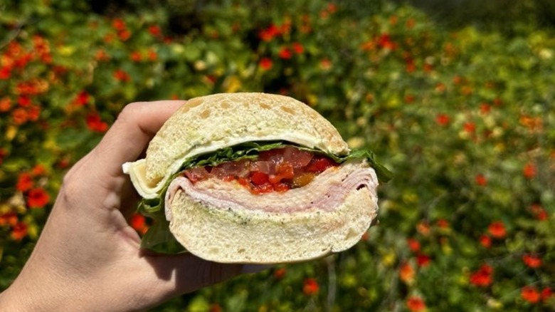 Person holding a sandwich from Zoccoli's in Santa Cruz