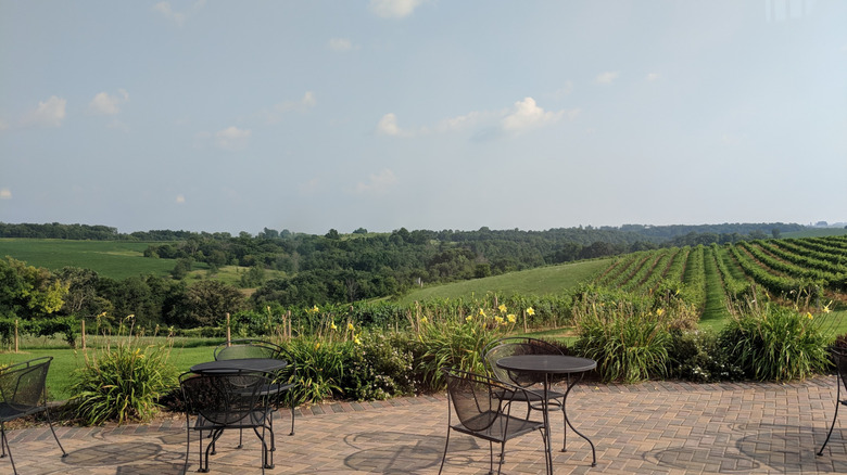 Patio with table and chairs surrounded by rolling vineyards at Vernon Vineyards, Viroqua, Wisconsin