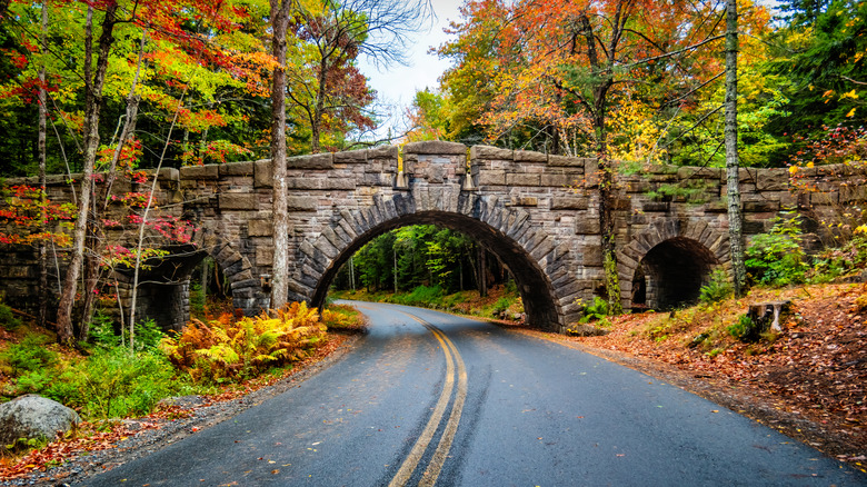 A motorway slips under a stone bridge during an autumnal scene in Acadia National Park, Maine