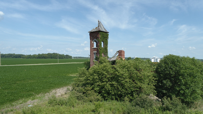 Vines and trees overtake the bell tower of an abandoned school in Dunkirk, Indiana