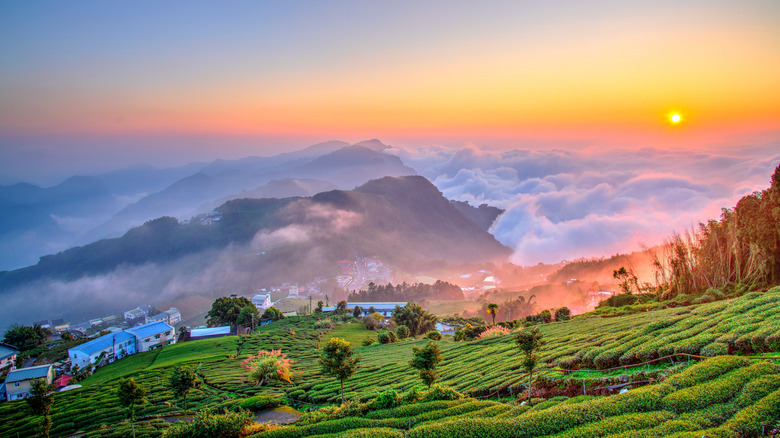 Sunrise over mountains at Alishan National Scenic Area