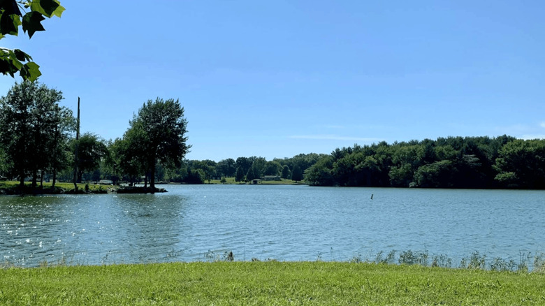 Vandalia Lake Beach on a sunny day