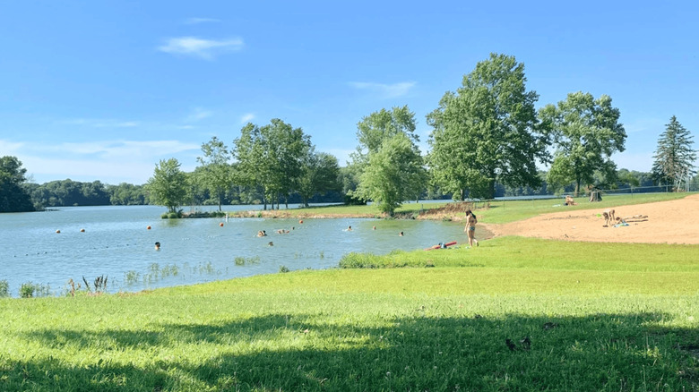 The shores of Vandalia Lake on a sunny day