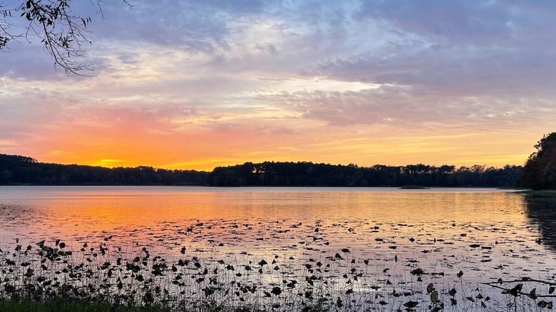 Martin Creek Lake State Park in East Texas, with the lake reflecting the sunset colors