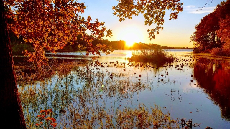 Sunset over the lake at Martin Creek Lake State Park, Texas