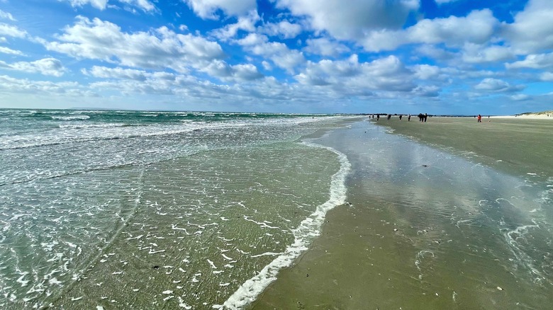 Small waves from the ocean lap the shore of East Wittering