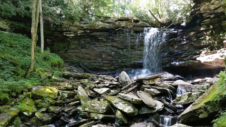 A small waterfall cascading over a cliff into moss-covered rocky creek bed inside the Cranberry Wilderness area in West Virginia