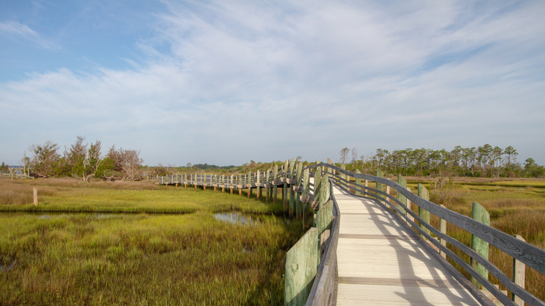 An elevated walkway over the marshes