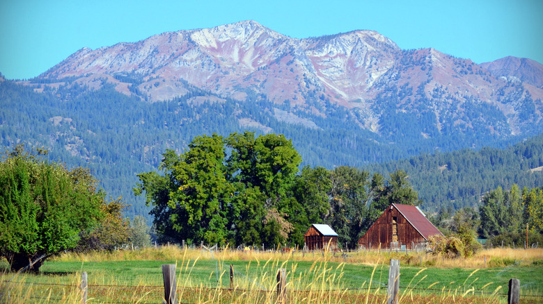 A view of the mountains in Cornucopia