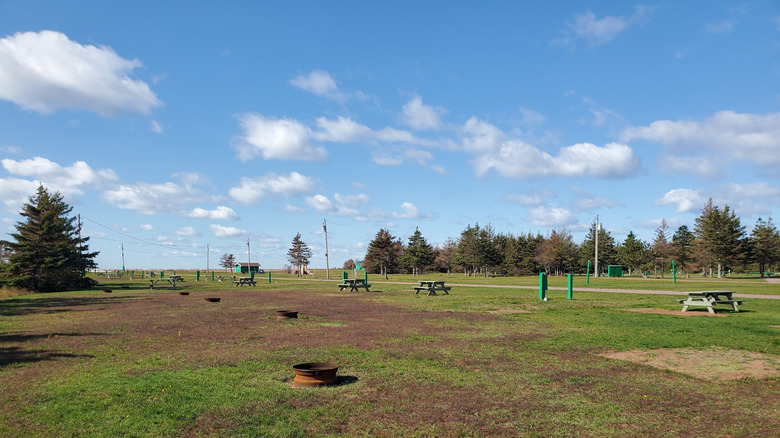 Empty field for camping site close to West Point Beach