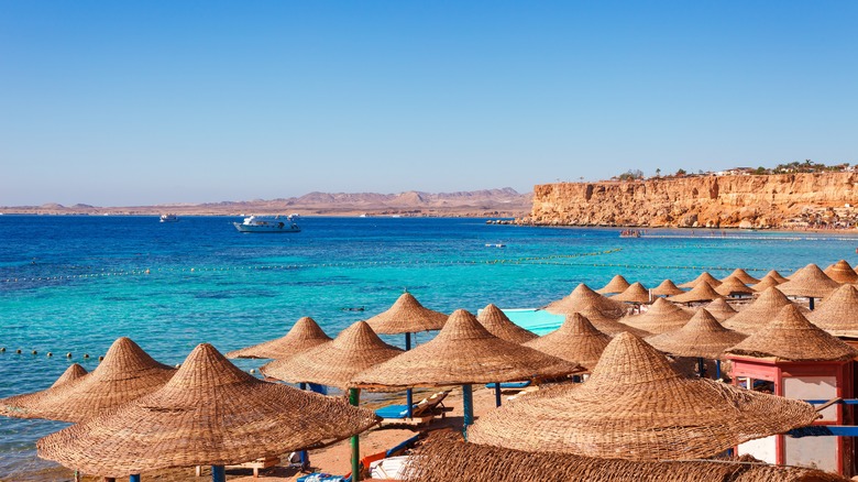 the tops of straw umbrellas at a resort in sharm el-sheikh, red sea riviera, egypt