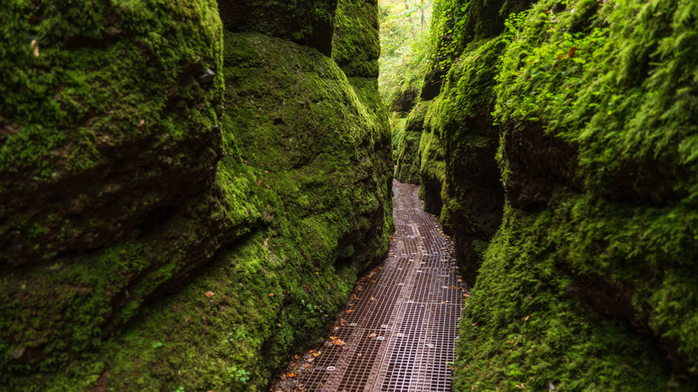 The Dragon Gorge hiking area in the Thuringian Forest in Eisenach, Germany