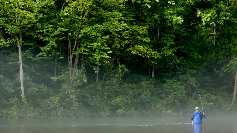 A fly fisherman on the Eleven Point River in Missouri