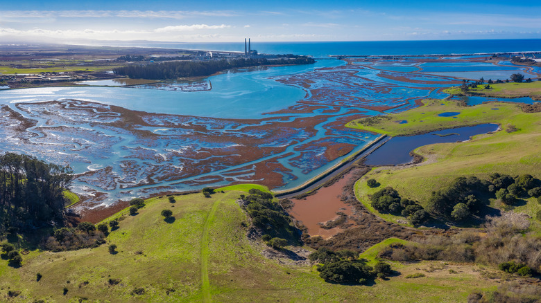 Aerial view of the Elkhorn Slough Reserve from a trail overlook