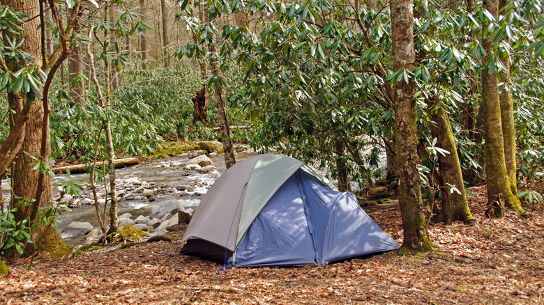 A campsite in Great Smoky Mountains National Park