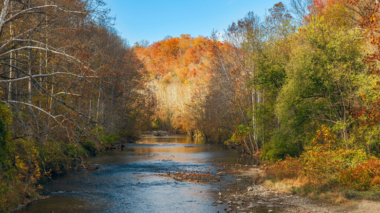 picture of Patapsco Valley State park and river running through it near Elkridge