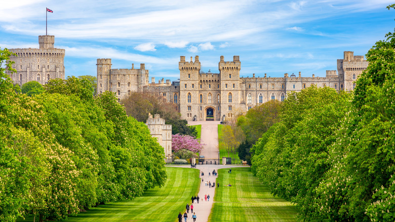 The Long Walk at Windsor Castle