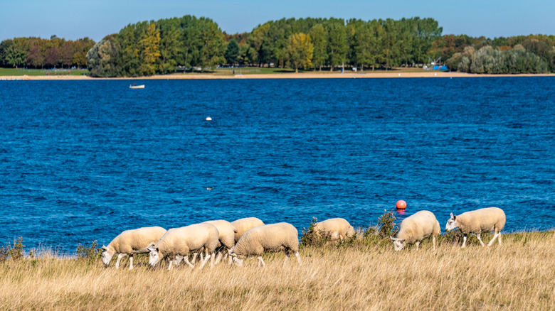 England s Largest Artificial Lake Is A Vacation Paradise With A England s Largest Artificial Lake Is A Vacation Paradise With A