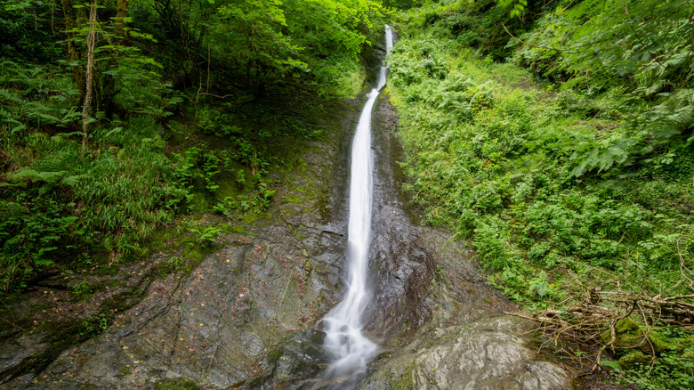 Whitelady Waterfall, Lydford Gorge, Devon