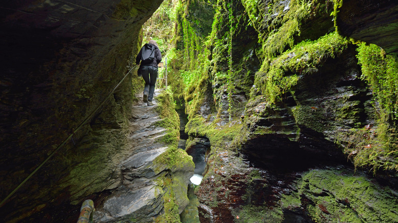 Woman hiking up a rock path with moss covered rocks in Lydford Gorge, England