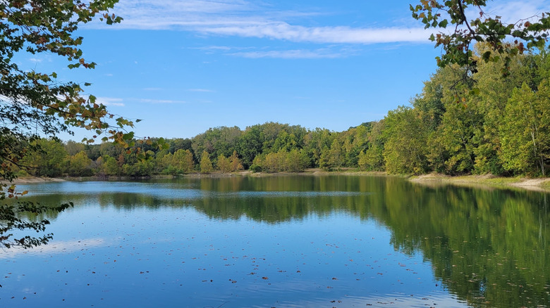 Trees lining the water at Englewood MetroPark in Dayton, Ohio