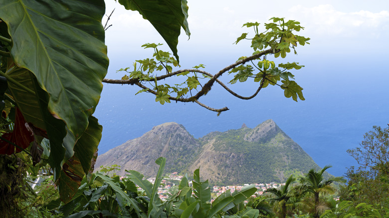 Cloud forest on tropical island