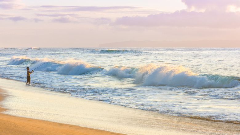 Man fishing Polihale Beach at sunset
