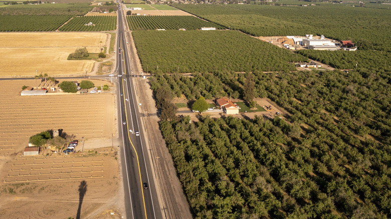 Aerial view of the agricultural lands surrounding Escalon, California