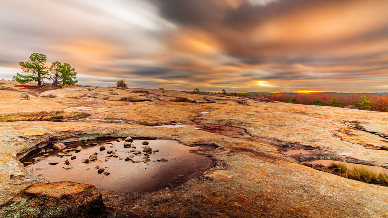 Cratered surface of Arabia Mountain, GA