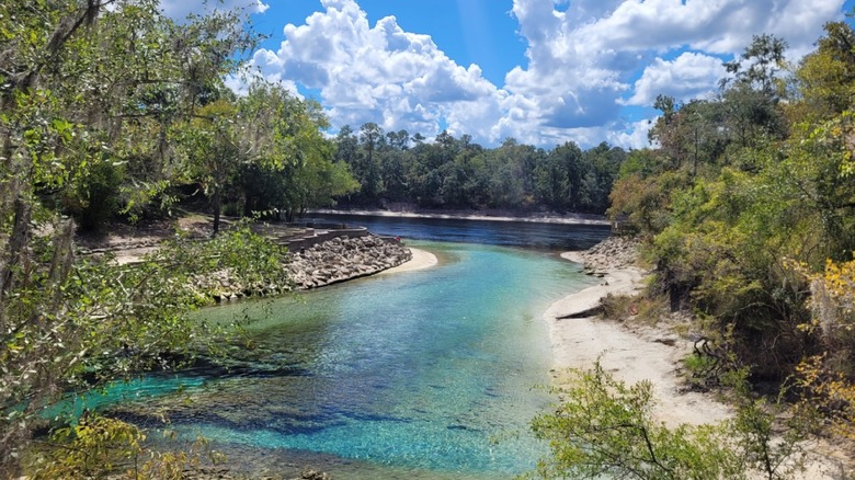 The crystal-clear spring meets the river at Little River Springs in Florida.