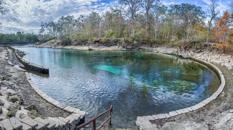 A fortified spring-fed pool with bright blue water surrounded by autumn trees at Little River Springs in Florida.