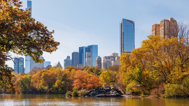 Central Park in the fall