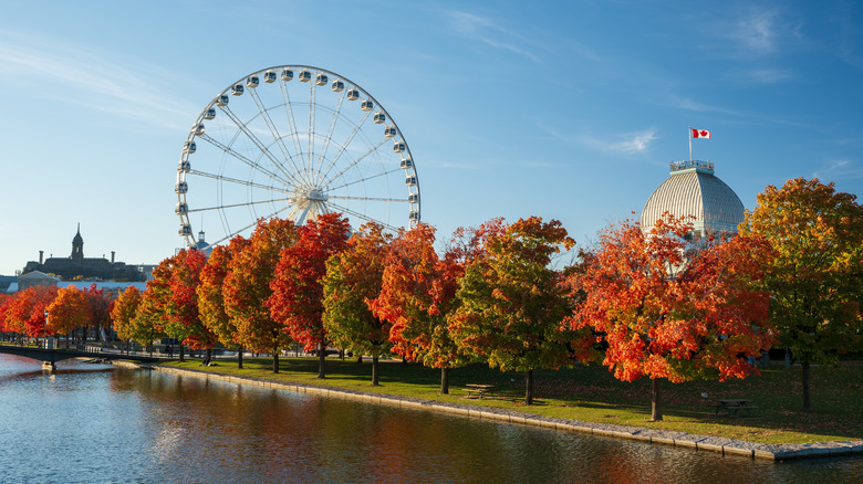 Montreal in the fall