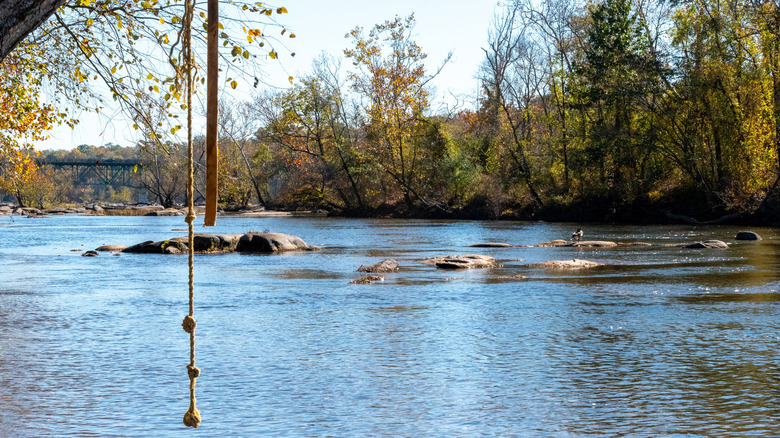 Rope swing hanging from a tree on the James River in Richmond, Virginia
